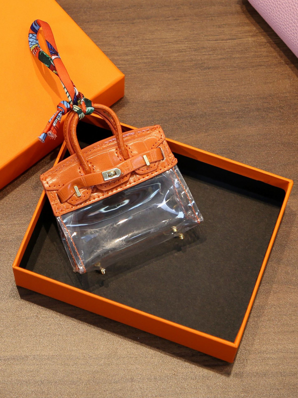 Mini Birkin Bag Transparency Airpods Pouch